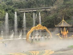 -西双版纳原始森林公园