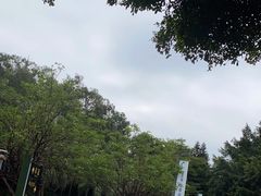 -三水森林公园
