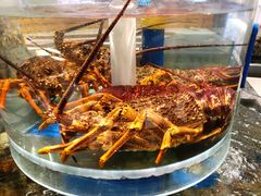 -新海渔港·胶东海鲜家常菜·家宴(奥体中心店)