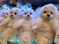 -上海海洋水族馆