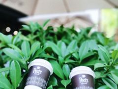 -Peet's 皮爷咖啡(东湖路手作店)