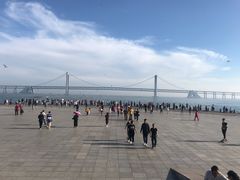 -星海湾跨海大桥