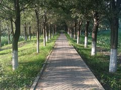 -东郊湿地公园