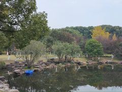 -范蠡湖公园