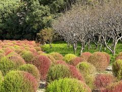 -世纪公园-世纪春沁园