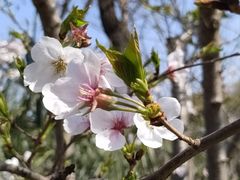 -龟山风景区-龟山电视塔