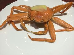 -铁板诱惑法式铁板烧(大卫城店)