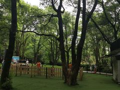 -WeLope紫金山探险公园