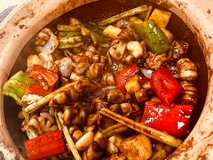 -天宝食坊·啫啫煲大排档(西华路店)