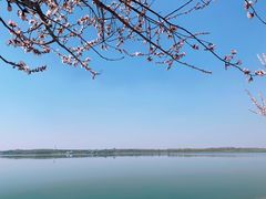 -丁香湖公园
