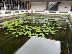 -广州素食学校·素猫豆腐(长洲码头店)