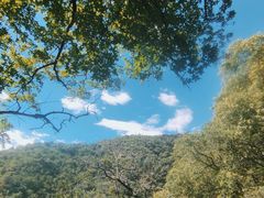 -阳台山自然风景区