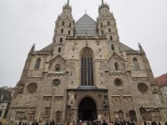 -斯蒂芬主教座堂(Stephansdom)
