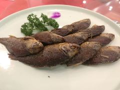 -普天和酒楼·新津菜·烤鸭(天津之眼店)