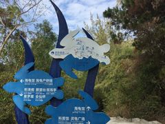 -广东惠东海龟国家级自然保护区