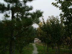 -西安青龙寺遗址景区