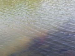 android_upload_pic-新江湾城公园