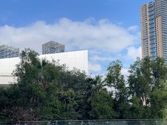-希尔顿南海酒店·观廊大堂吧·海景下午茶