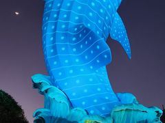 -珠海长隆海洋王国