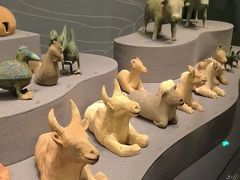 -广西壮族自治区博物馆