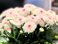-广州花园酒店荔湾亭·地道点心·粤式饮茶