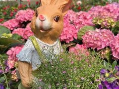 -人民公园(罗湖区)