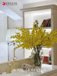 -皇家月府月子中心(沈阳店)