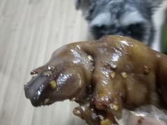 -开心猫无锡三阳广场店