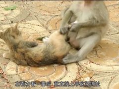 -昆明动物园