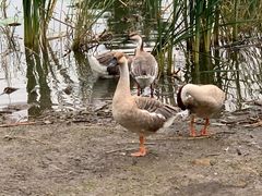 -长春市南湖公园