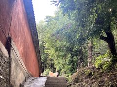 -寂照庵