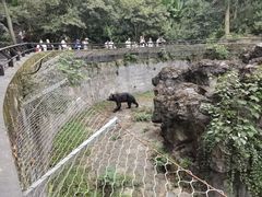-杭州动物园