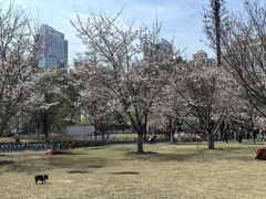 -西北湖绿化广场