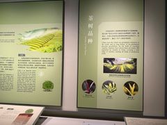 -中国茶叶博物馆(双峰馆区)