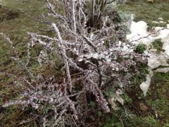 iphone_upload_pic-牛背山