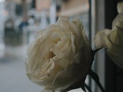 -Nine Cafe&Bar
