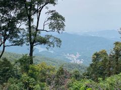 -广州市帽峰山景区