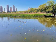 -前关湿地公园