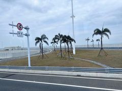 -港珠澳大桥(珠海段)