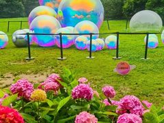 -上海共青森林公园