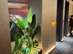 -鼎原力量东北吊炉烧烤(临河街店)