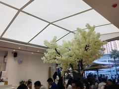 -艾薯夫妇Aysh(福田星河COCOPark店)