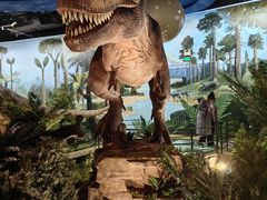 -陕西自然博物馆