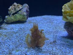 -上海海洋水族馆