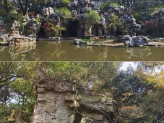 -红梅公园