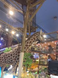 -卡通尼·Safari非洲探索乐园·生日会(金桥国际商业广场店)