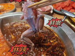 -铭记蛙小仙·活蛙畅享(CBD万达广场店)