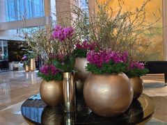 -北京朝阳悠唐皇冠假日酒店