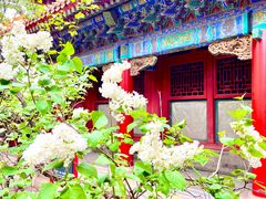 -故宫博物院(故宫)