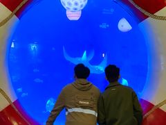 -烟台海昌鲸鲨海洋公园